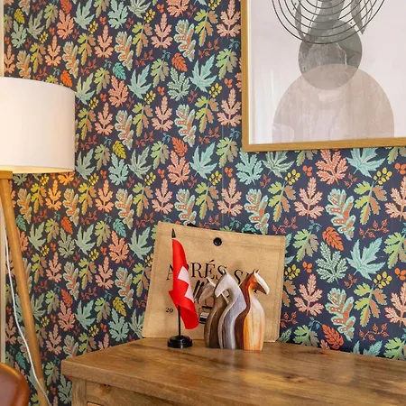 Chic And Cozy In With Free Parking * St Moritz